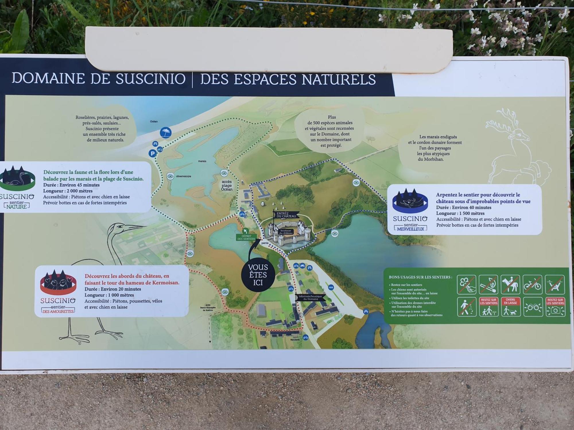 Maison De Vacances A Sarzeau A 5 Min De La Plage A Pieds Eksteriør bilde